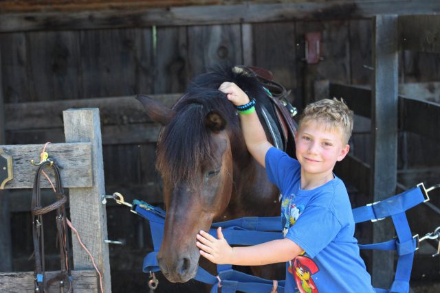 boy petting horse